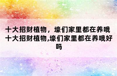 十大招财植物，壕们家里都在养哦 十大招财植物,壕们家里都在养哦好吗